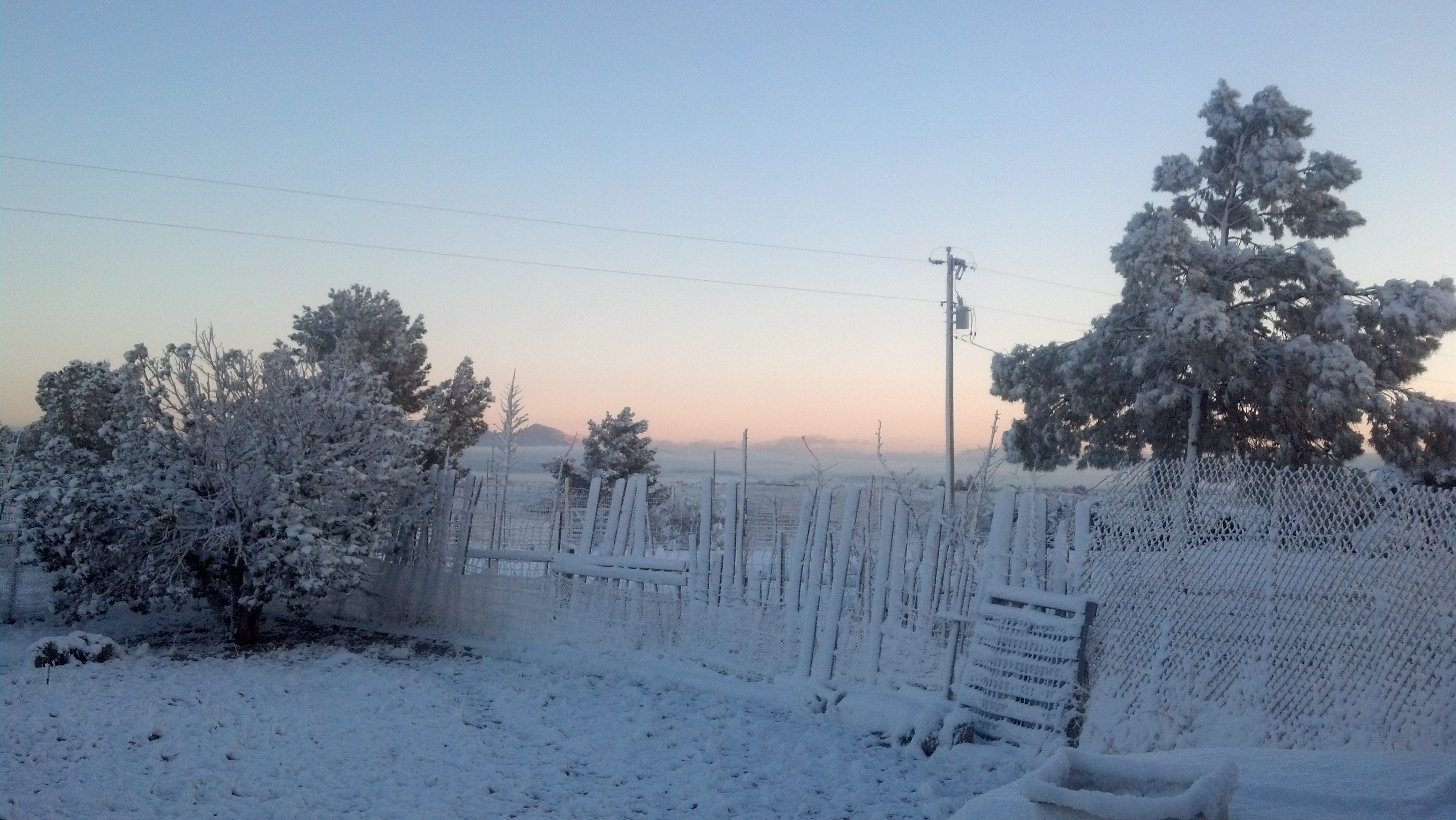 Snow in Southern Arizona! Ray's Blog